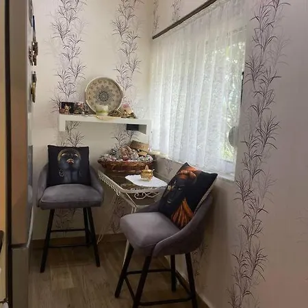 Rubin Apartment *